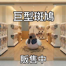 將圖片載入圖庫檢視器 咕姑固（部分現貨）珠頸斑鳩發聲公仔/掛飾
