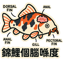 將圖片載入圖庫檢視器 錦鯉 T- Shirt
