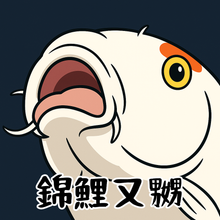 將圖片載入圖庫檢視器 錦鯉 T- Shirt
