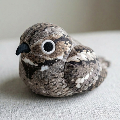 [Taiwan Only] Night Hawks (Audio) In Stock